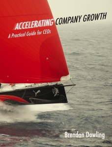 ACCELERATING COMPANY GROWTH: A PRACTICAL GUIDE FOR CEOs / Brendan Dowling